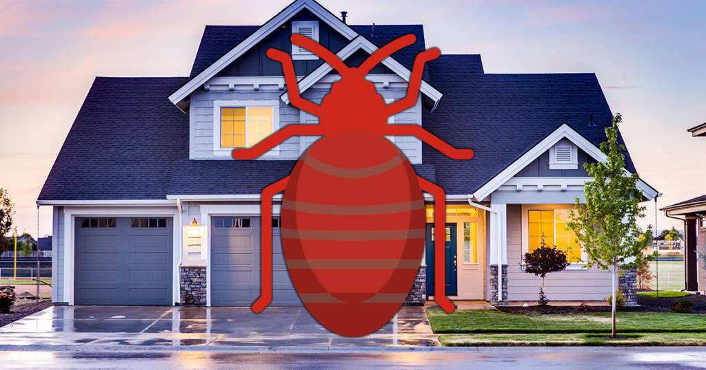 Dealing with Bed Bugs in a Vacation Rental 