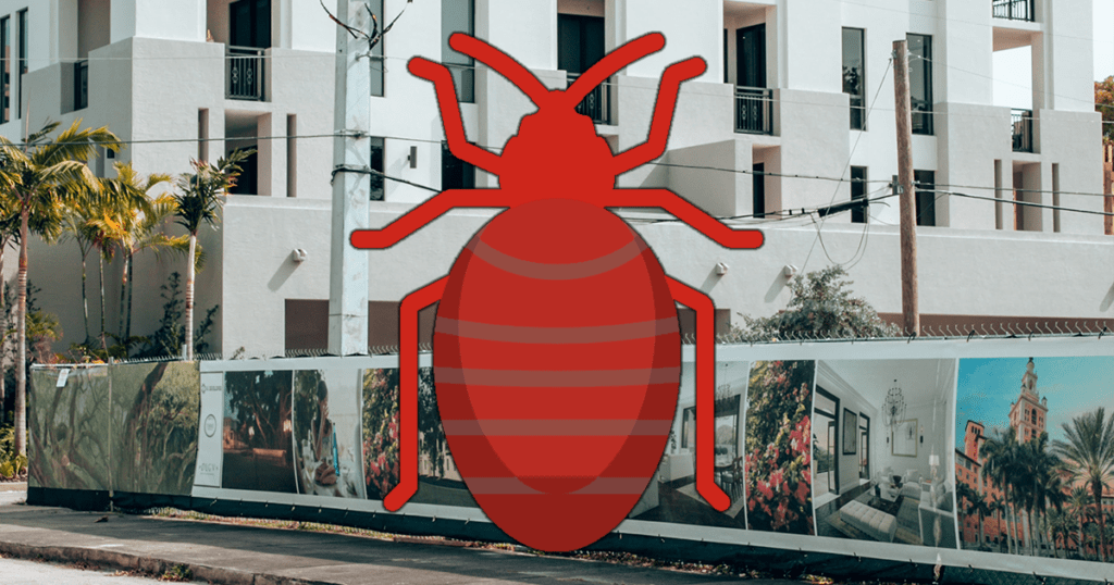 How to Deal with Bed Bugs in a Ocala, FL Hotel 