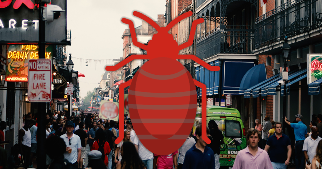 Hiring a Lawyer for Bed Bugs Found in a New Orleans Hotel 