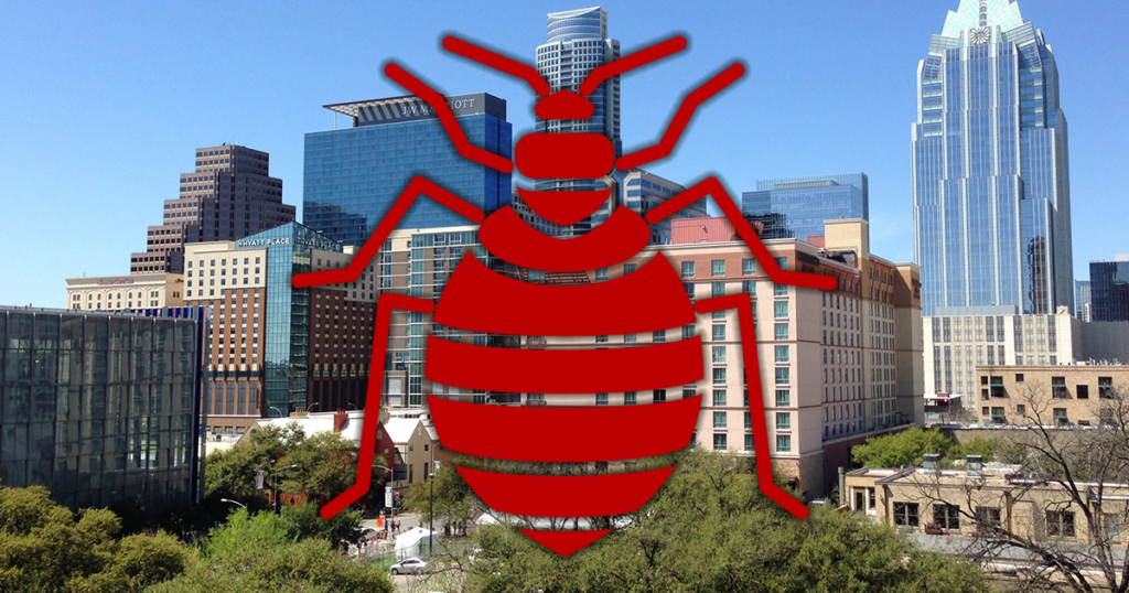Dealing with Bed Bugs in a Austin, Texas Hotel 