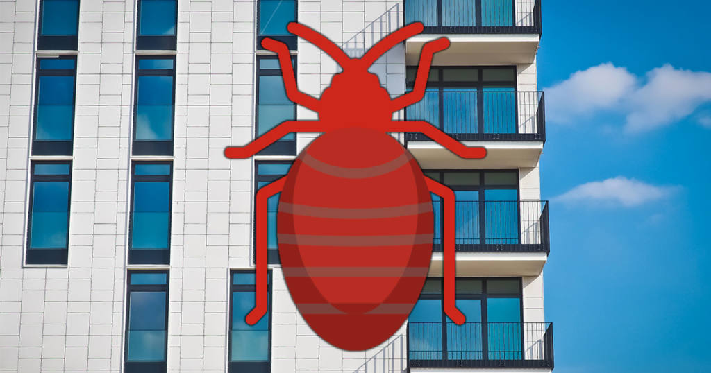Are Landlords Responsible for Bed Bugs? 