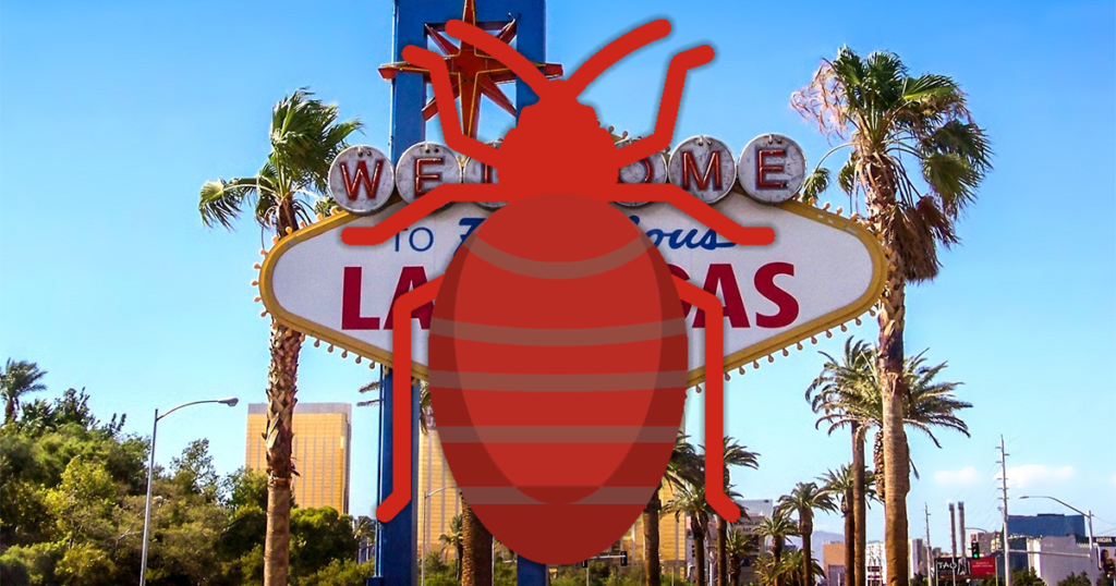 Can You Sue a Las Vegas Hotel for Bed Bugs? 