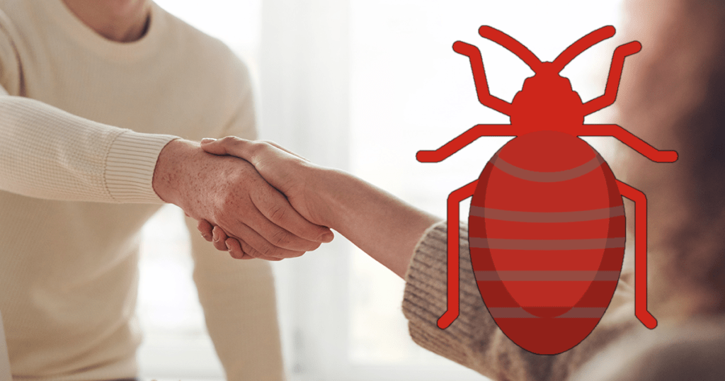 Who is Liable or Responsible for Bed Bugs? 